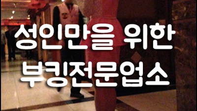 수원찬스나이트: 웨이터가 추천하는 특별한 부킹 경험